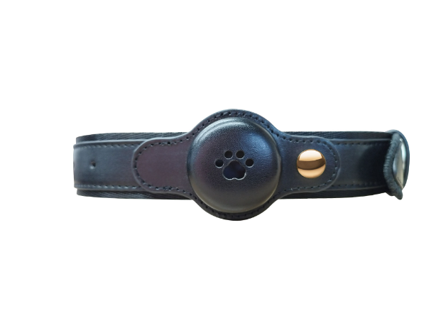 GPS Dog Tracker