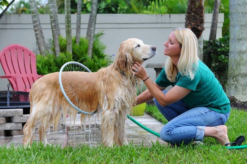 Dog Shower Bathing Ring